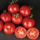 Насіння томату Шаста F1 (Shasta F1), для переробки, Spark Seeds), 1 000 88247 фото 8