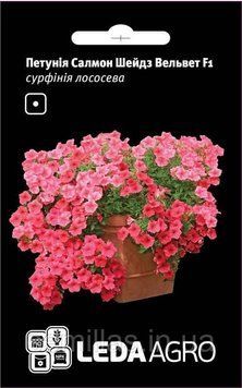 Насіння сурфінії Салмон Шейдз Вельвет F1, 5 шт. (драже), ампельна петунія 89533 фото