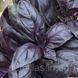 Насіння базиліка Віолет Кінг, фіолетового, Spark Seeds, 50 гр 89814 фото 2