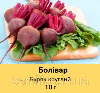 Семена свеклы Боливар, 10 гр., столовой круглой, ТМ "ЛедаАгро" 89767 фото