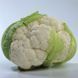 Насіння цвітної капусти Місора F1, середньостиглої, Kitano Seeds 1 000. 90117 фото 1