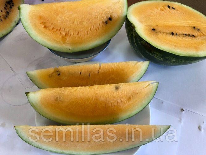 Насіння кавуна Оранж Лакшері F1, з помаранчевим м'якушем, Spark Seeds, 500 шт. 90025 фото