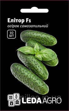 Семена огурца Элитор F1, 10 шт, самоопыляемого, ТМ "Леда Агро" 89729 фото