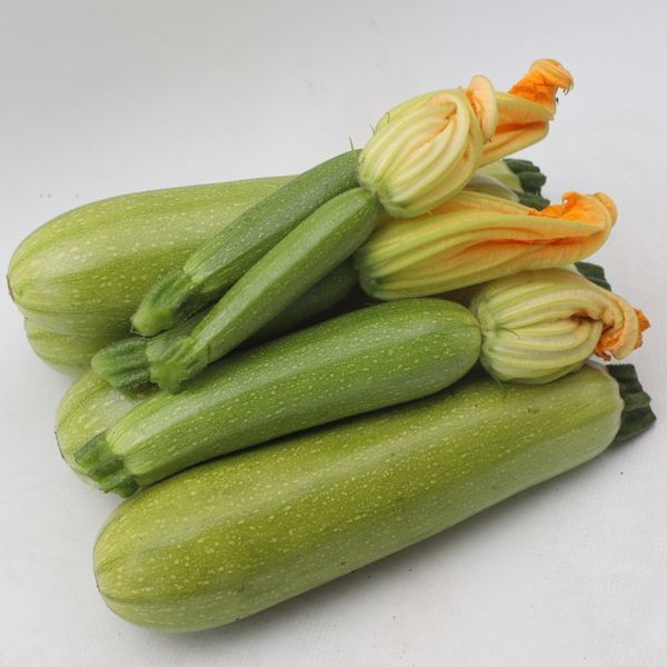 Семена кабачка Язума F1, светло-зеленого кустового, Kitano Seeds 89552 фото