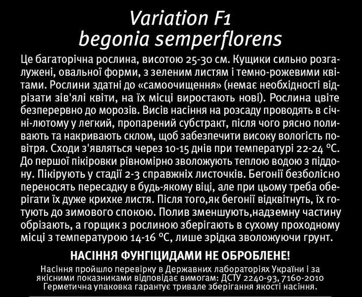 Семена бегонии Вариация F1, вечноцветущей, зеленолистной, LedaAgro 89231 фото