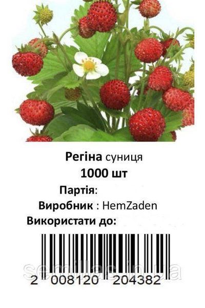 Насіння суниці Регіна, 1000 шт., ТМ "ЛедаАгро" 89688 фото
