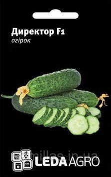 Семена огурца Директор F1, 10 шт., самоопыляемого, ТМ "ЛедаАгро" 89455 фото
