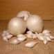 Лук севок Сноу Бол, 1 кг, белая средняя, (TOP Onion Sets) 89843 фото 1