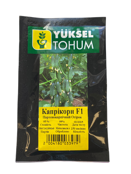 Насіння огірка Каприкорн (Capricorn) F1, самозапильного (партенокарпычного), Yuksel Seeds, 250 шт. 89150 фото