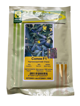 Насіння огірка Солон (Solon) F1, партенокарпічного (самозапильного), Yuksel Seeds, 2 500 шт. 89153 фото