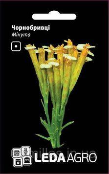 Семена бархатцев Минута (Tagetes Minuta), 0,3 гр, ТМ "ЛедаАгро" 89467 фото