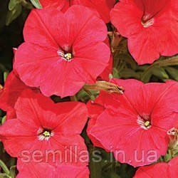 Насіння Петунії Лавина F1, 1000 шт. (драже), червона, ампельна грандифлора 88946 фото